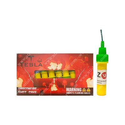 تسلا 20 عددی